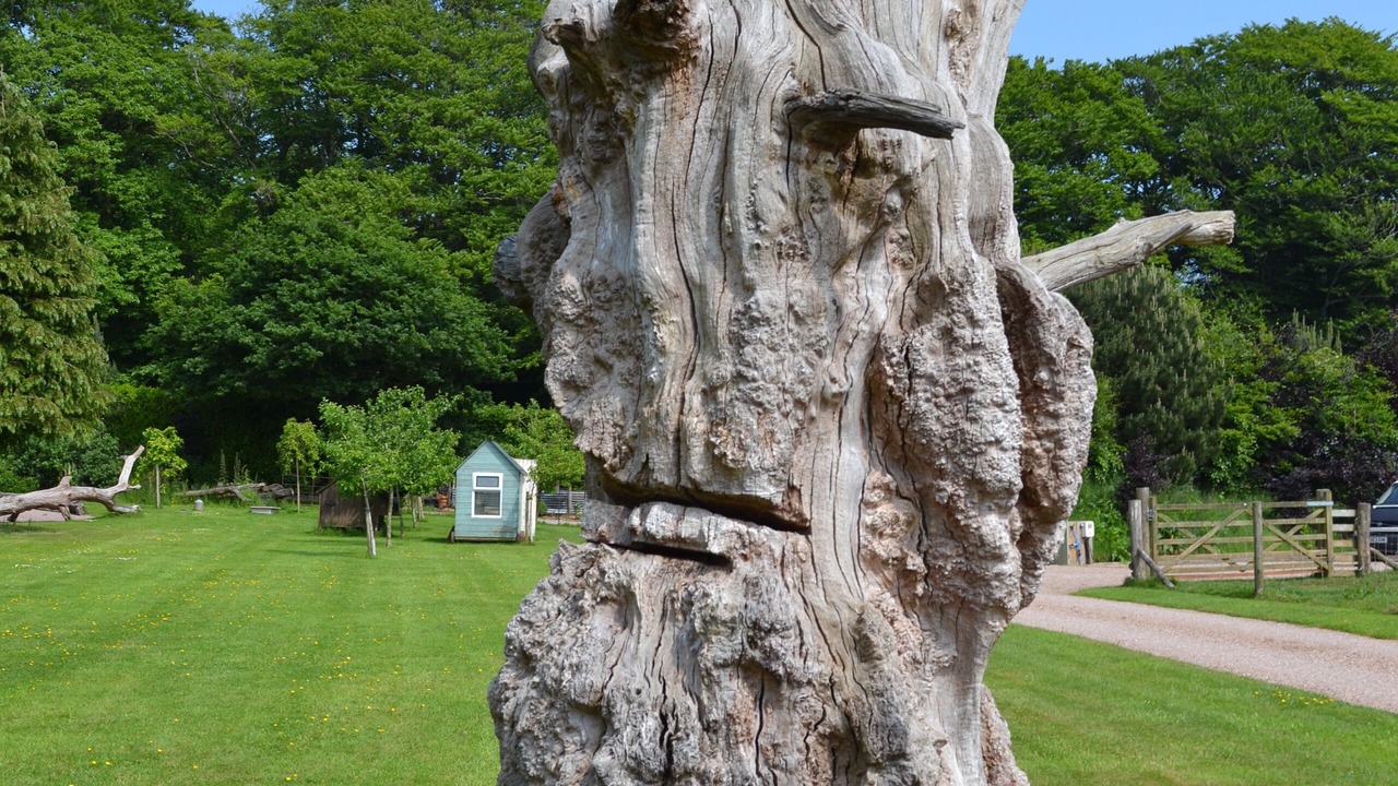 Photo of Outdoor in Bicton