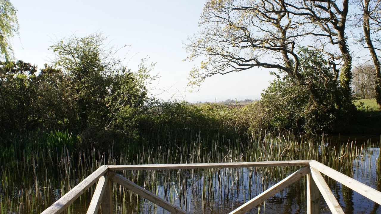 Photo of Others in Bicton