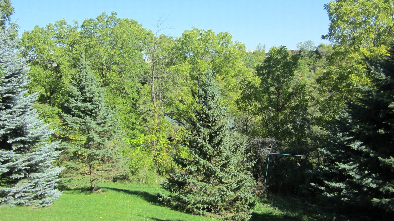 Photo of Others in St. Catharines