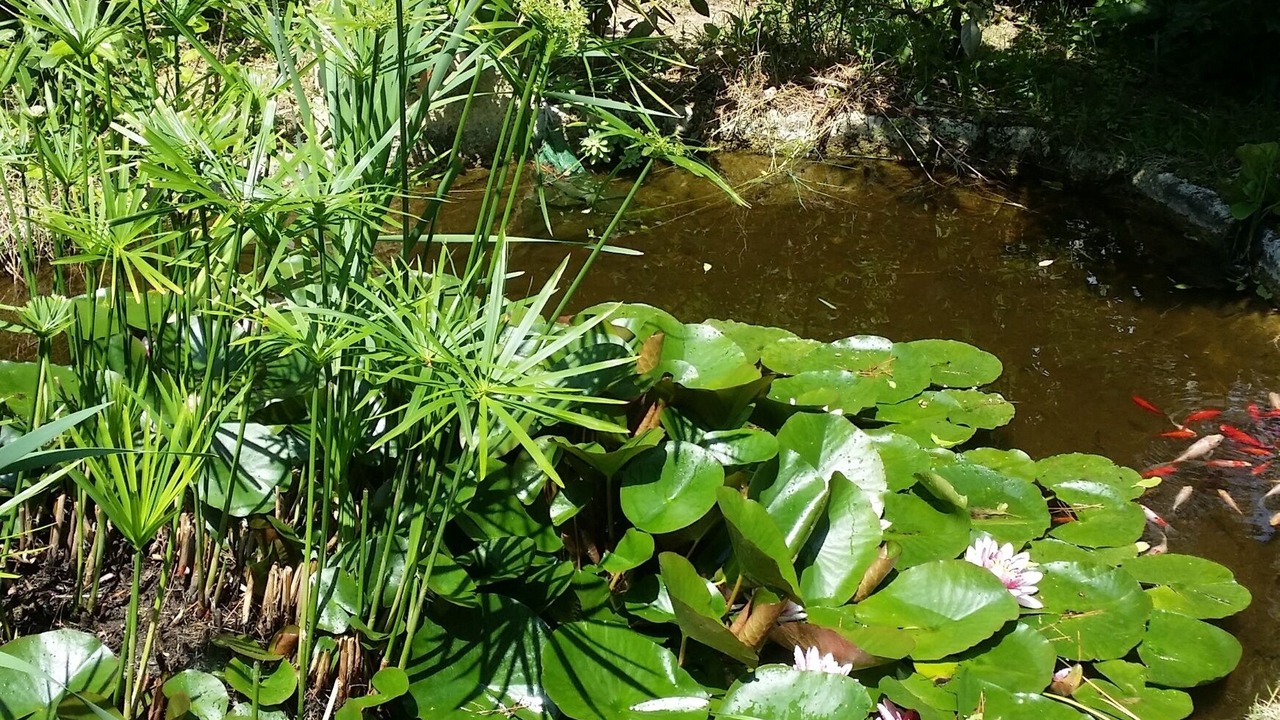 Photo of Outdoor in Sete