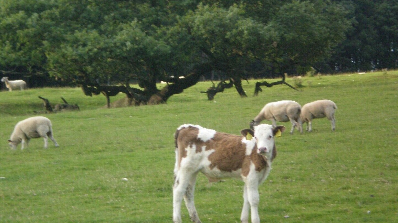 Photo of Others in Congleton