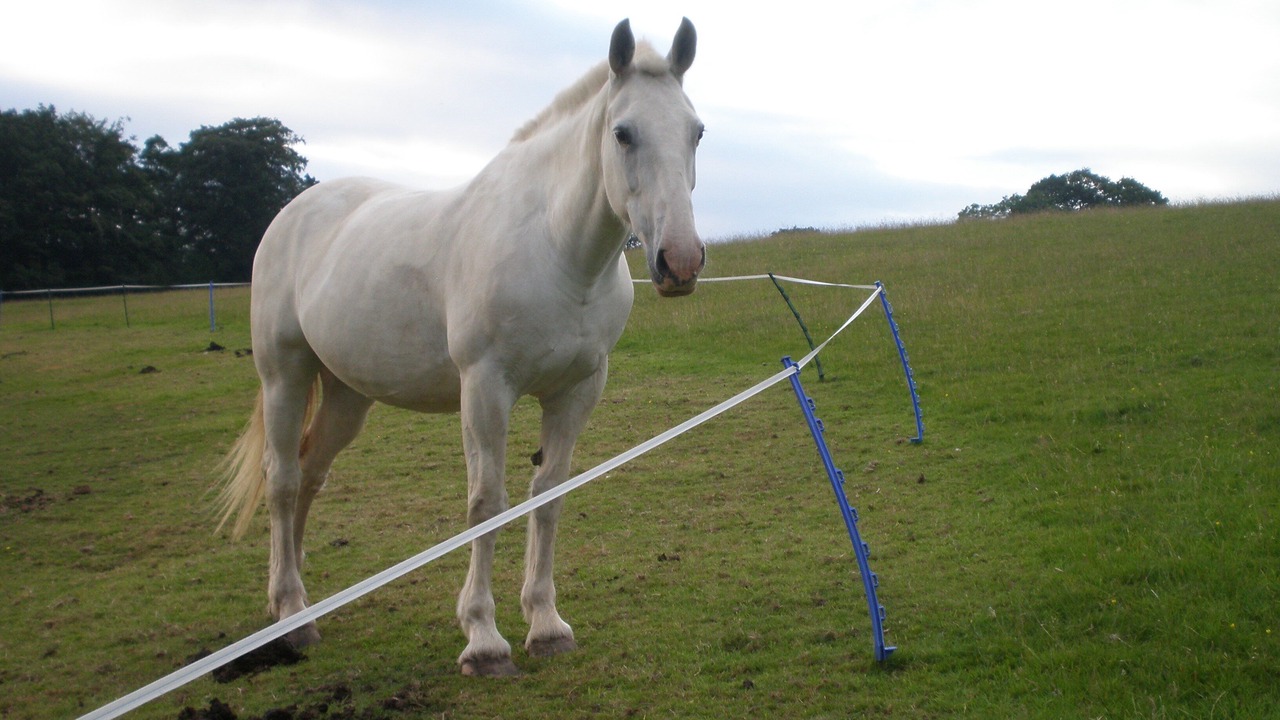 Photo of Others in Congleton