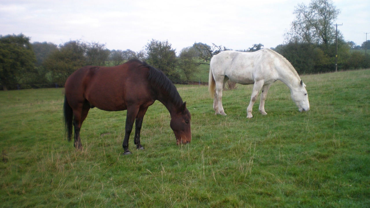 Photo of Others in Congleton