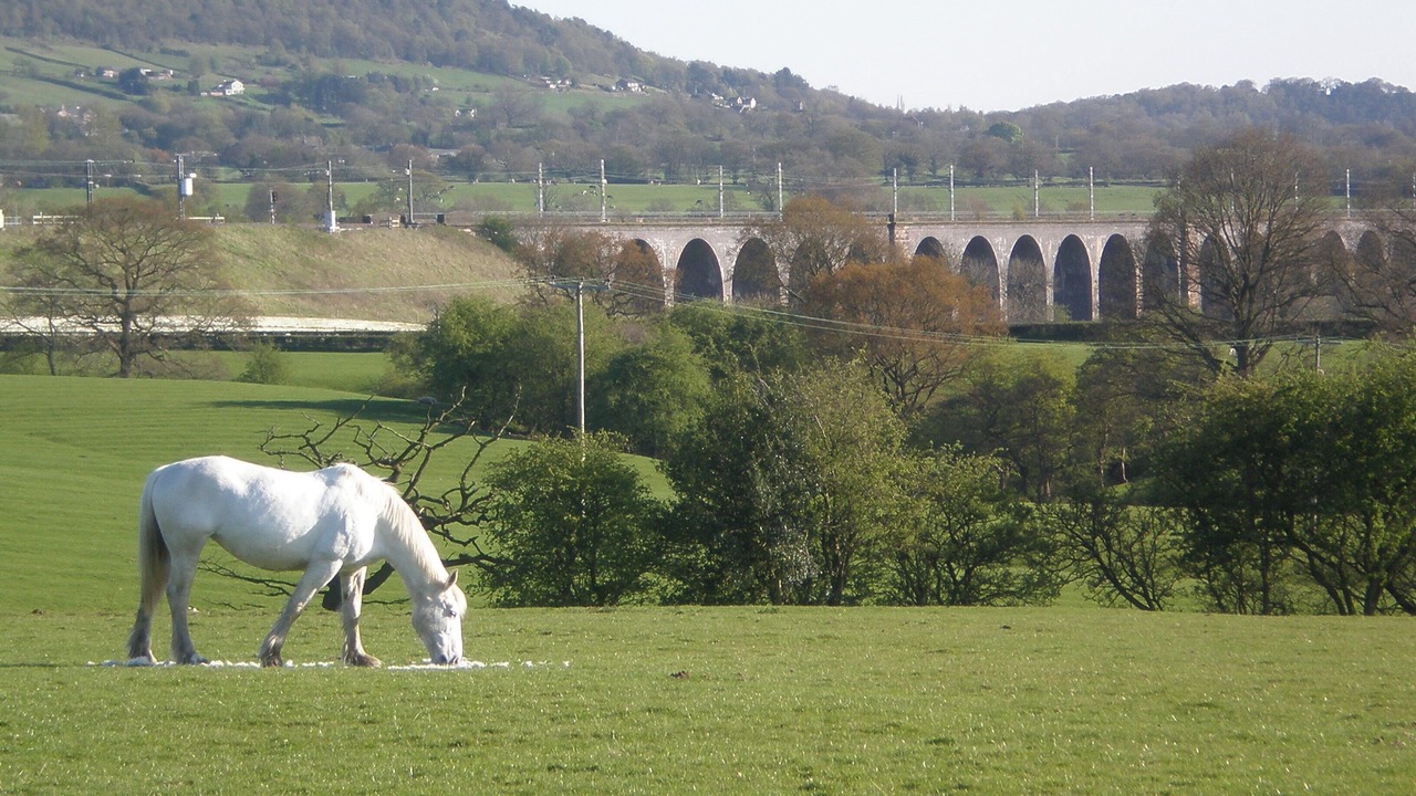 Photo of Others in Congleton