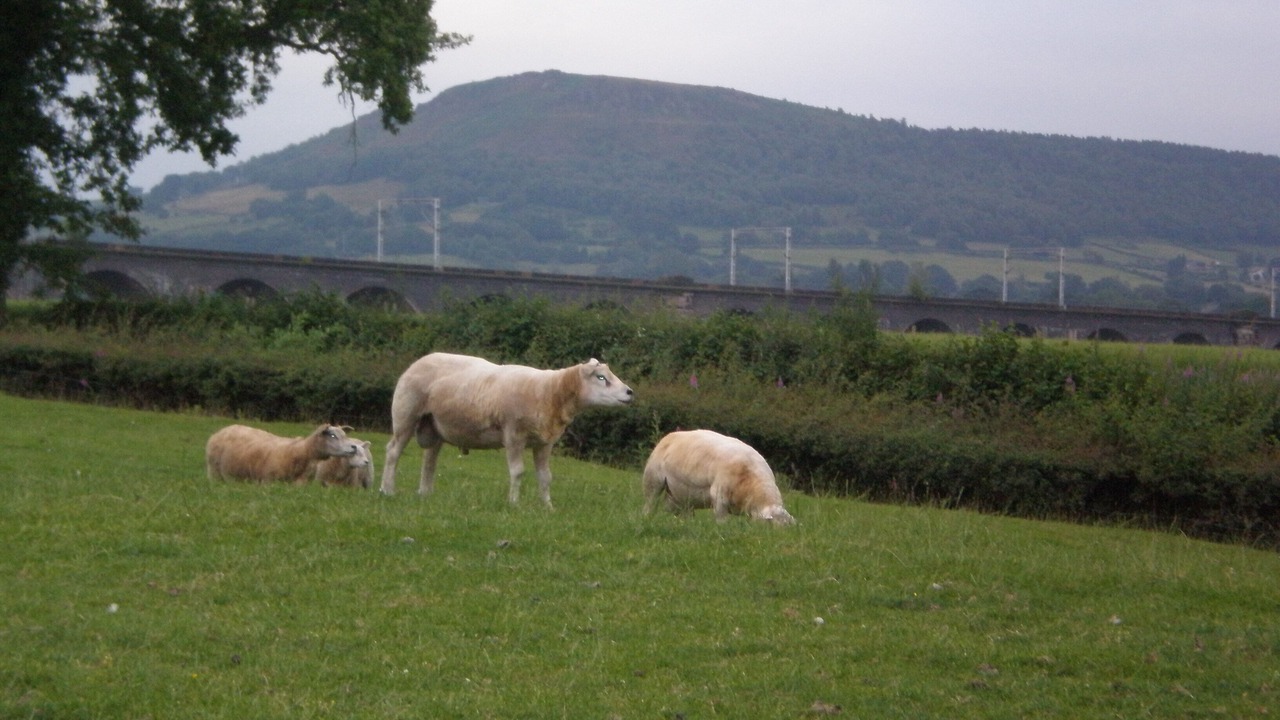 Photo of Others in Congleton