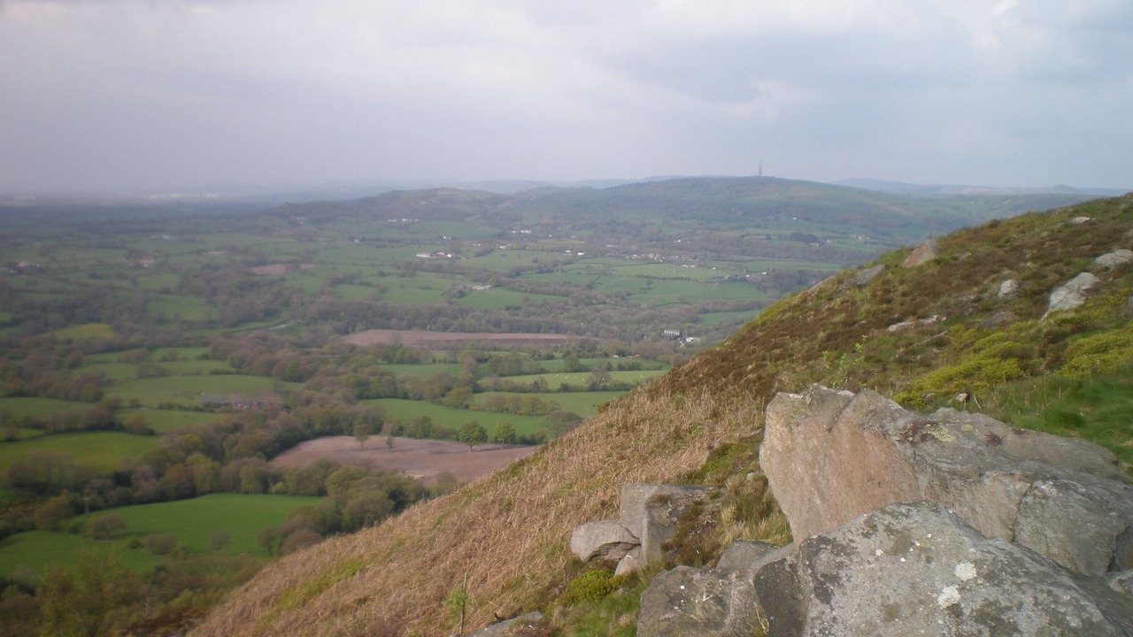 Photo of Others in Congleton