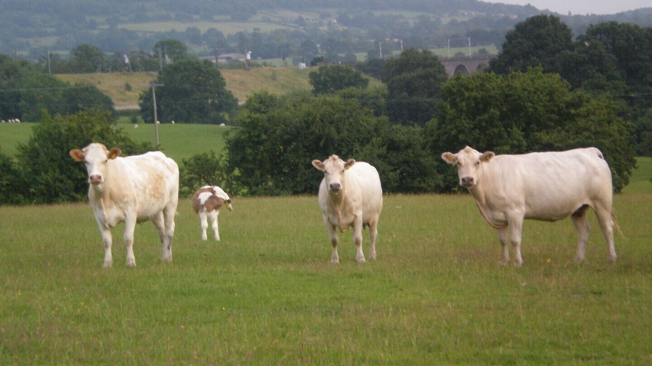 Photo of Others in Congleton
