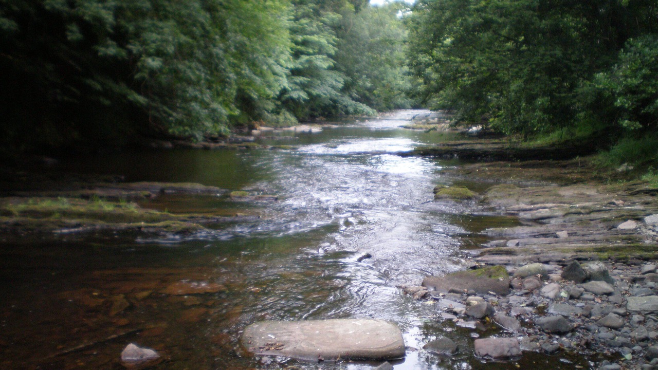Photo of Others in Congleton