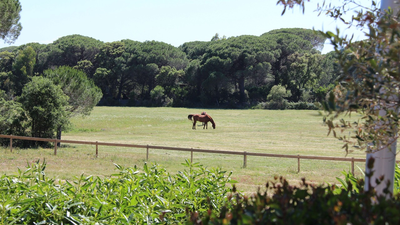Photo of Others in Hameau de Palombaggia