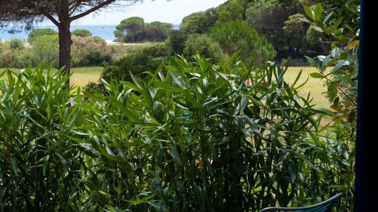 Photo of Outdoor in Hameau de Palombaggia