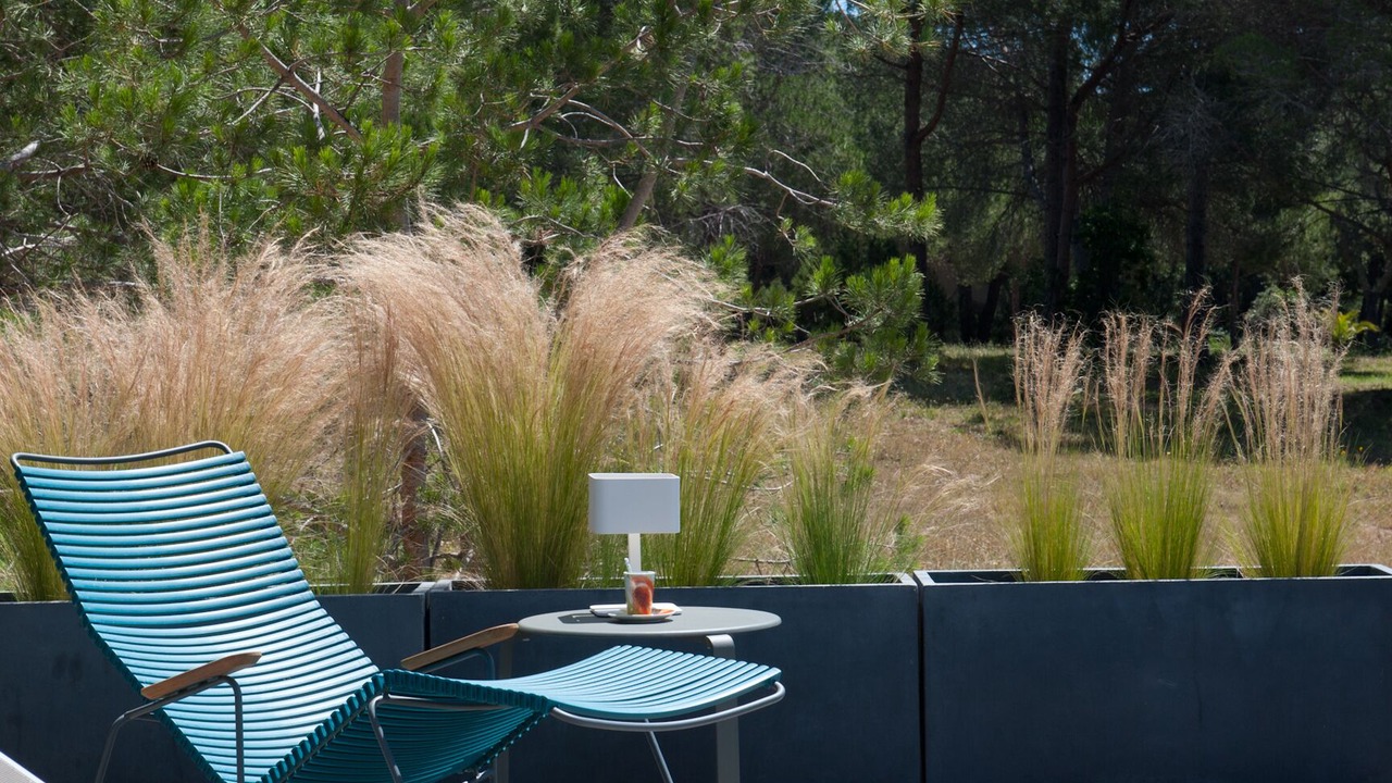 Photo of Outdoor in Hameau de Palombaggia