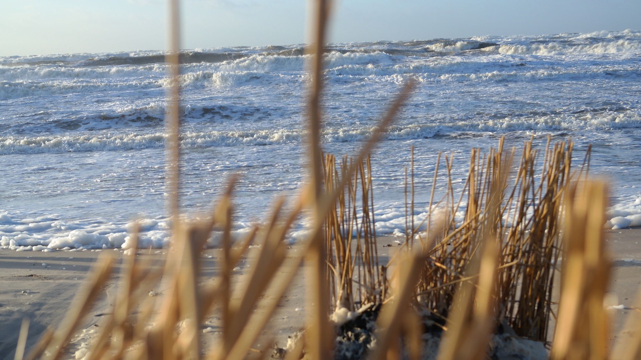 Photo of Others in Callantsoog