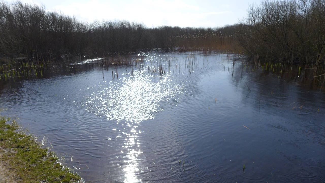 Photo of Outdoor in Callantsoog