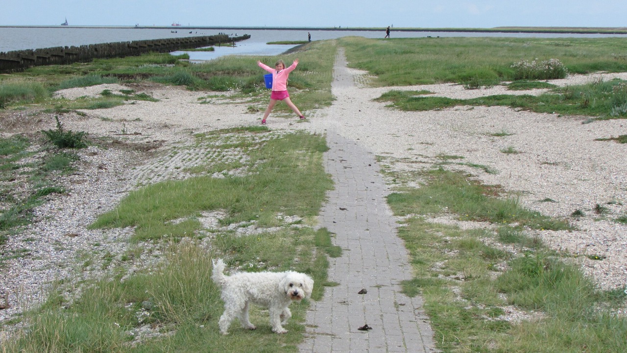 Photo of Others in Paesens-Moddergat