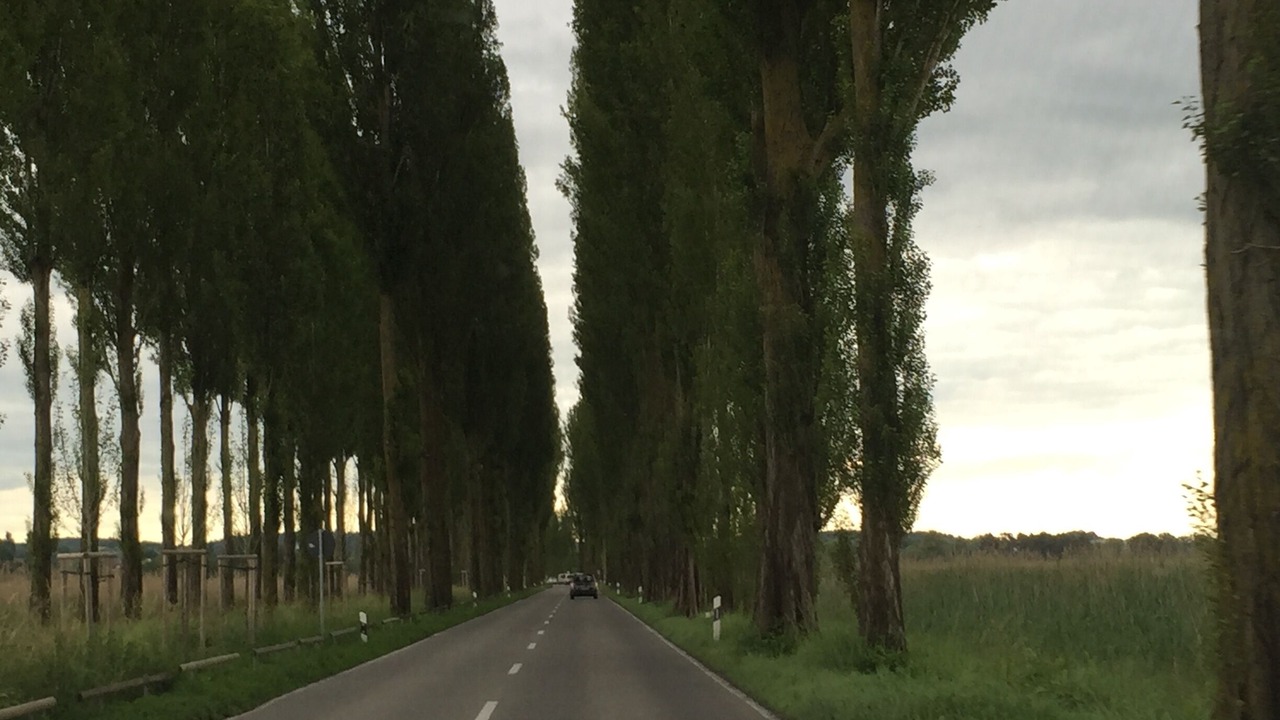Photo of Outdoor in Reichenau