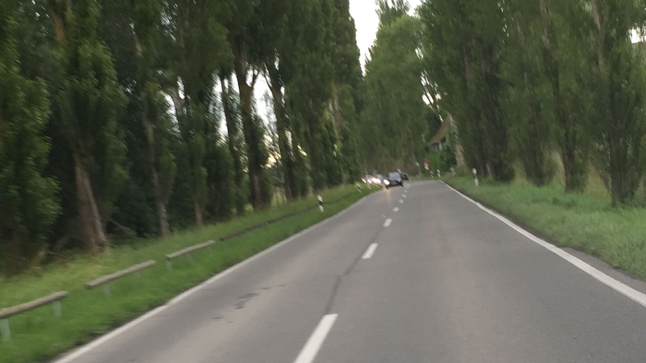 Photo of Others in Reichenau