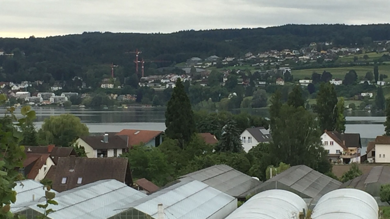 Photo of Outdoor in Reichenau