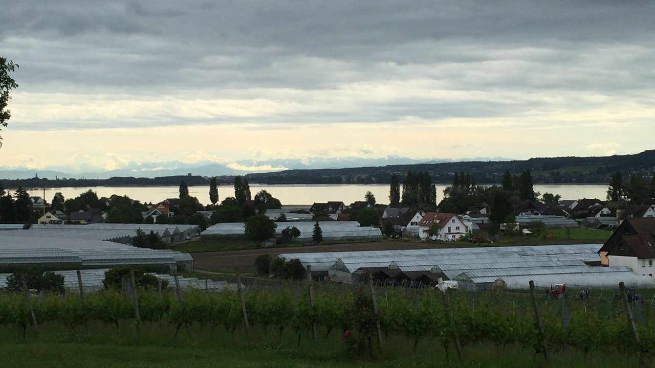 Photo of Others in Reichenau