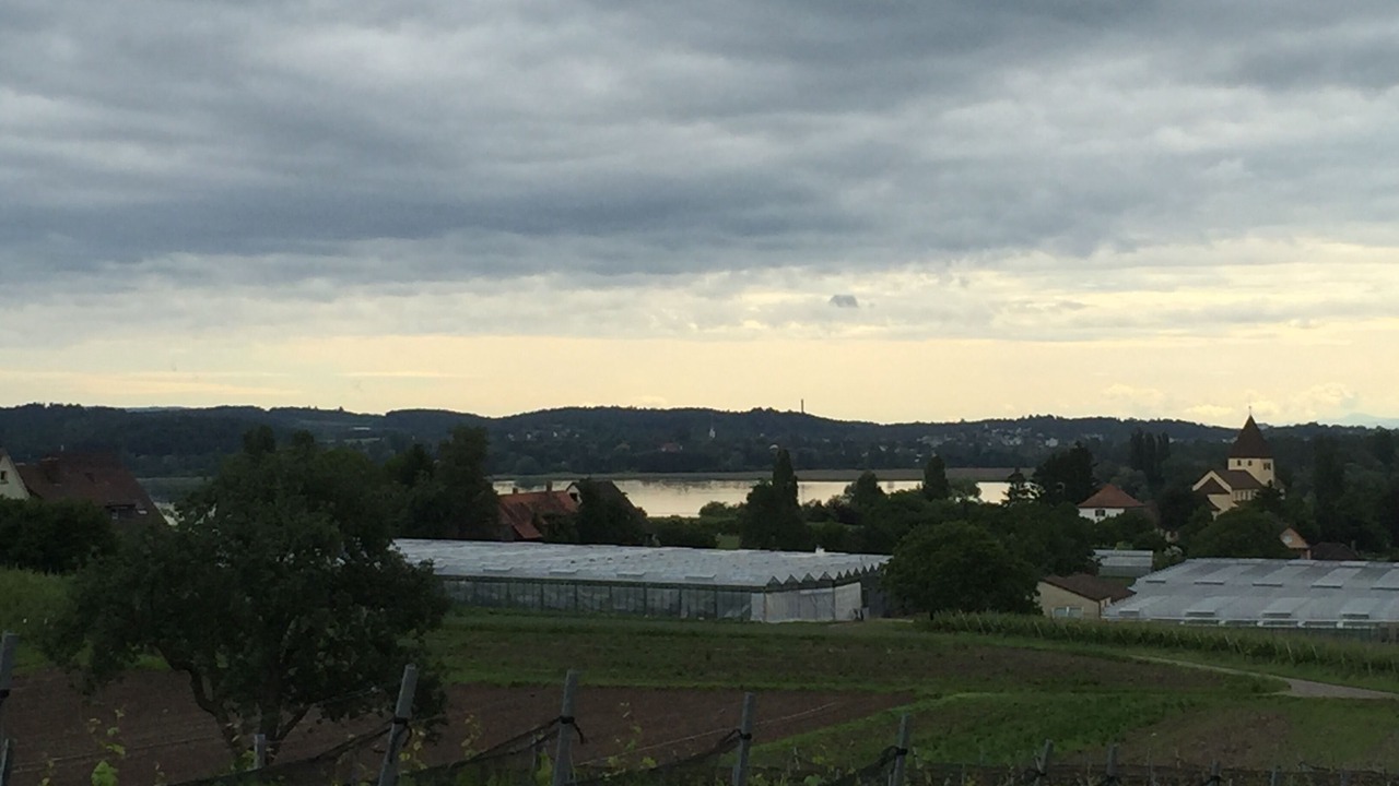 Photo of Others in Reichenau