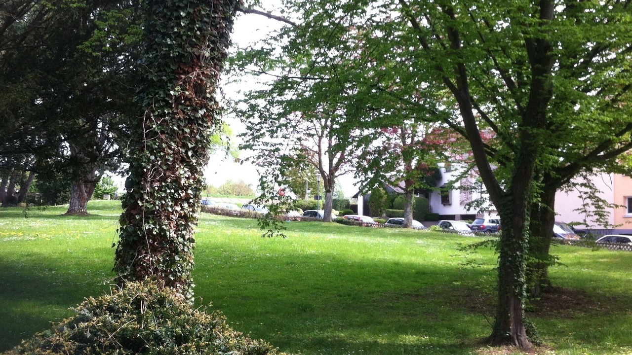Photo of Outdoor in Reichenau