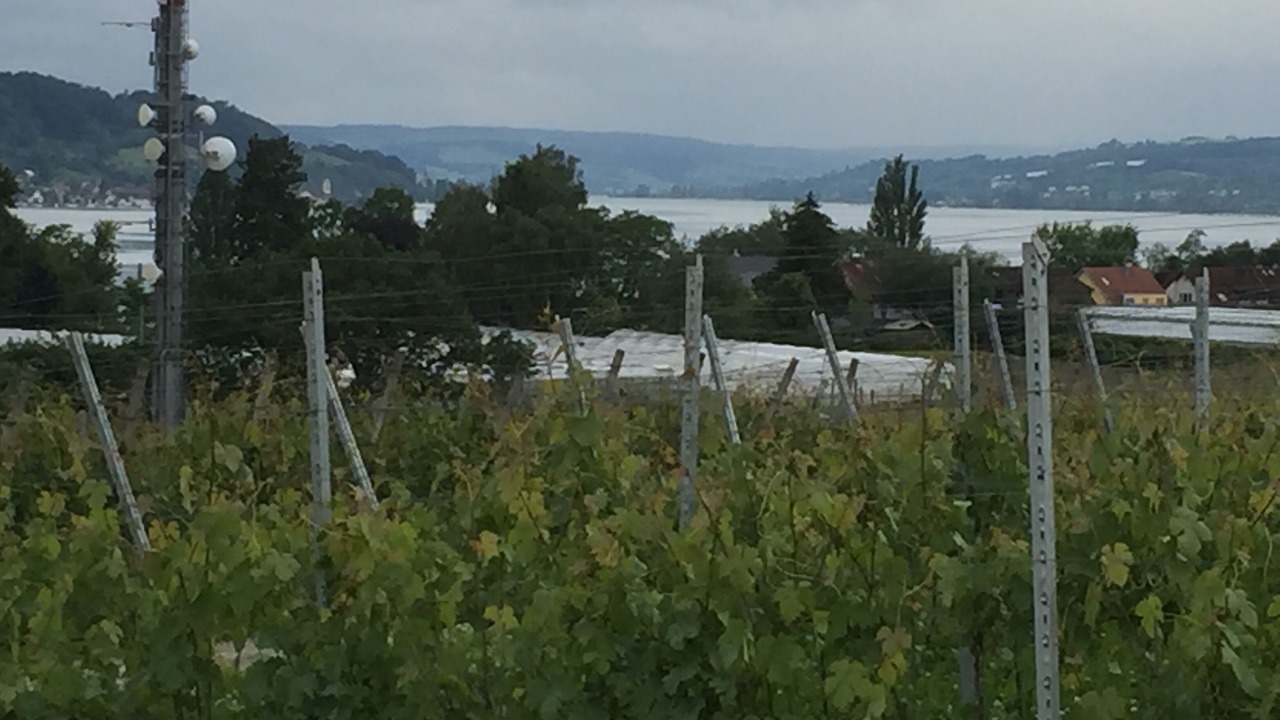 Photo of Outdoor in Reichenau
