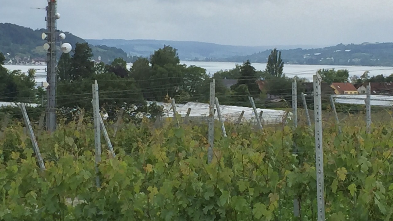 Photo of Outdoor in Reichenau