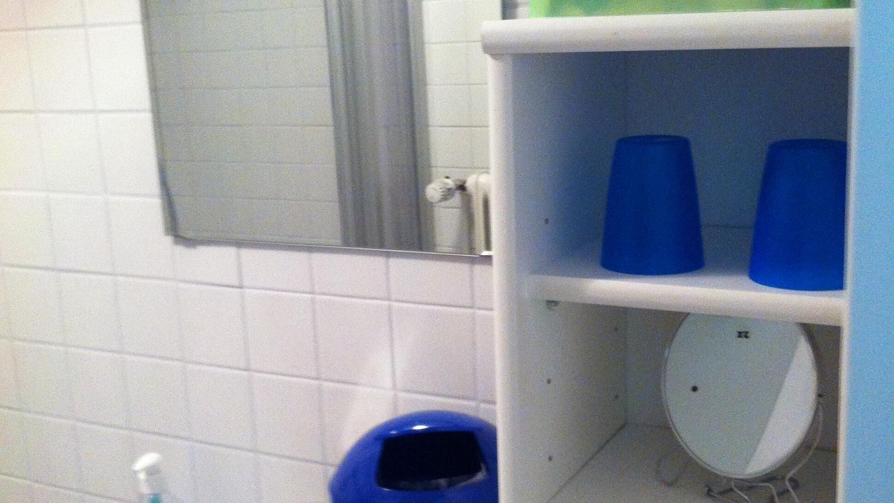 Photo of Bathroom in Reichenau