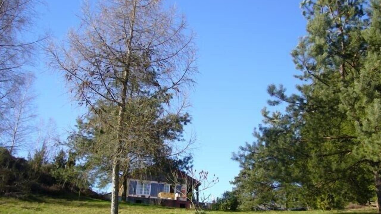 Photo of Outdoor in Ternuay-Melay-et-Saint-Hilaire