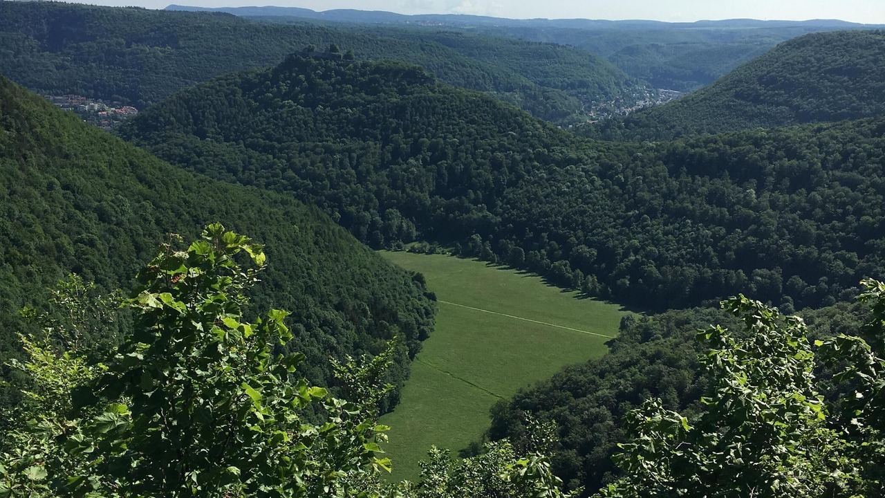Photo of Others in Bad Urach