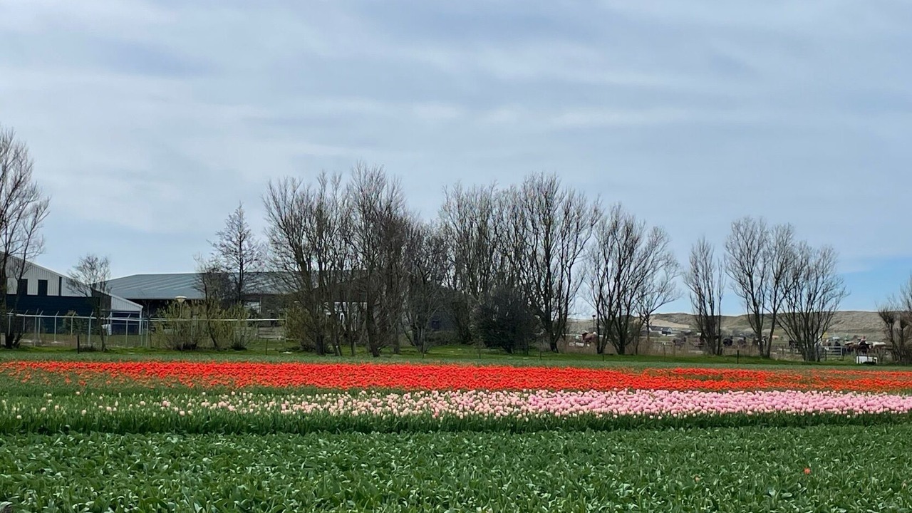 Photo of Outdoor in Julianadorp aan zee