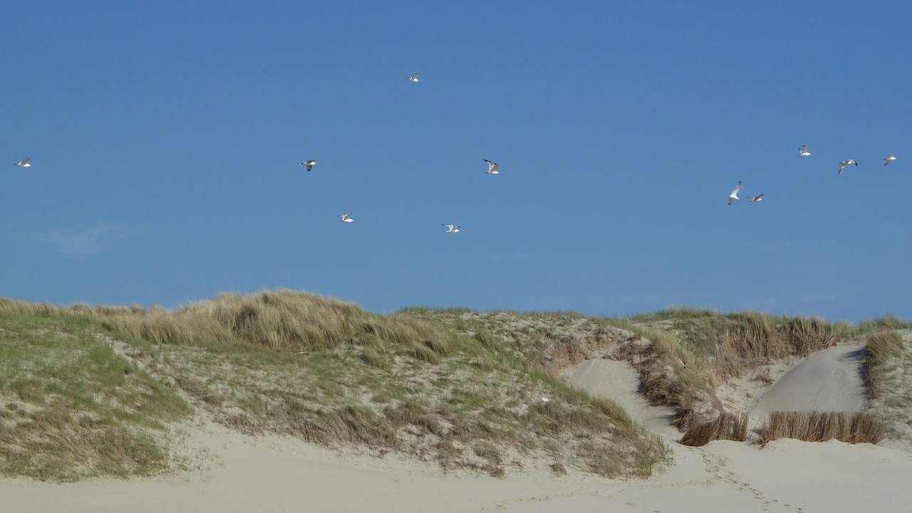 Photo of Others in Julianadorp aan zee