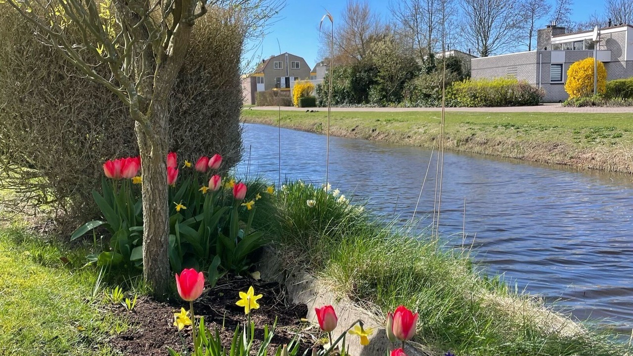Photo of Outdoor in Julianadorp aan zee