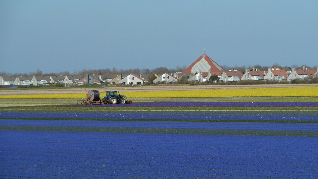 Photo of Outdoor in Julianadorp aan zee