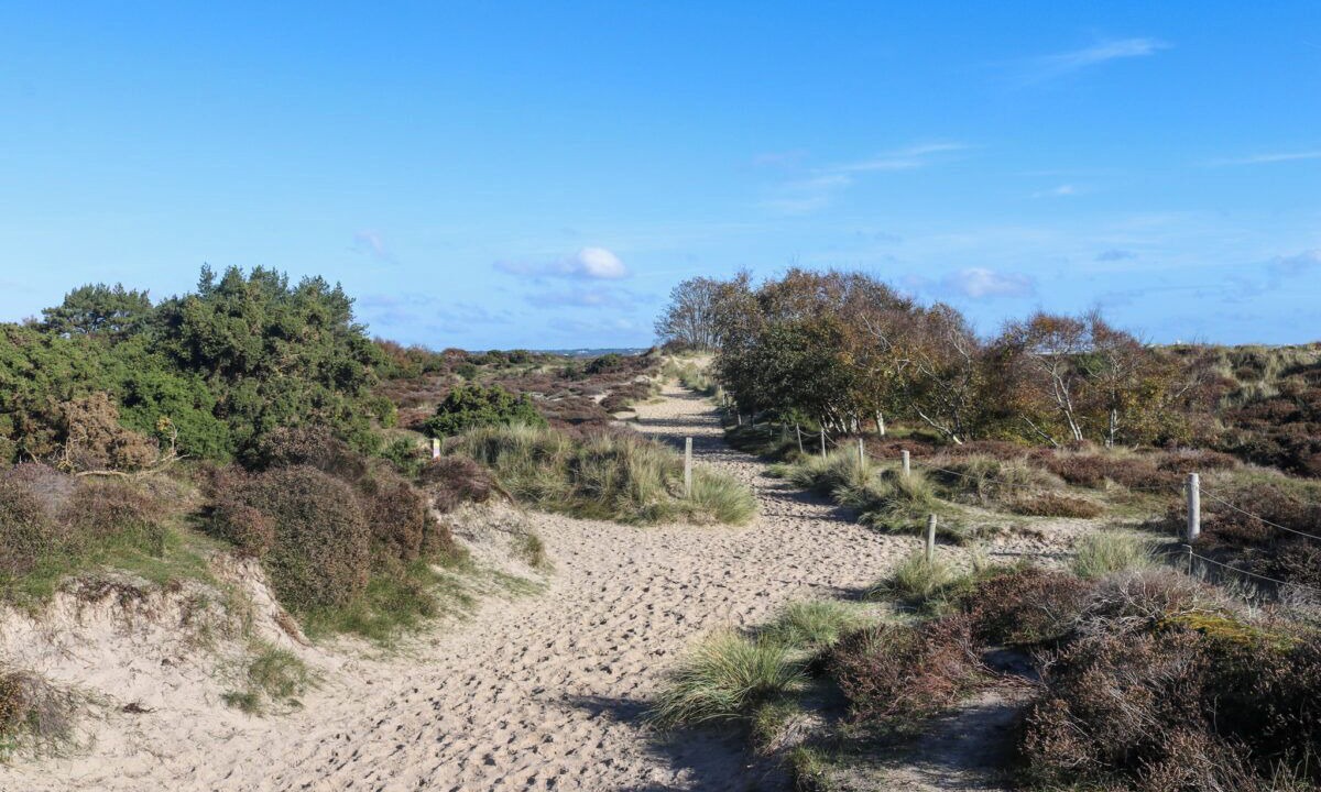 Photo of Others in t Zand