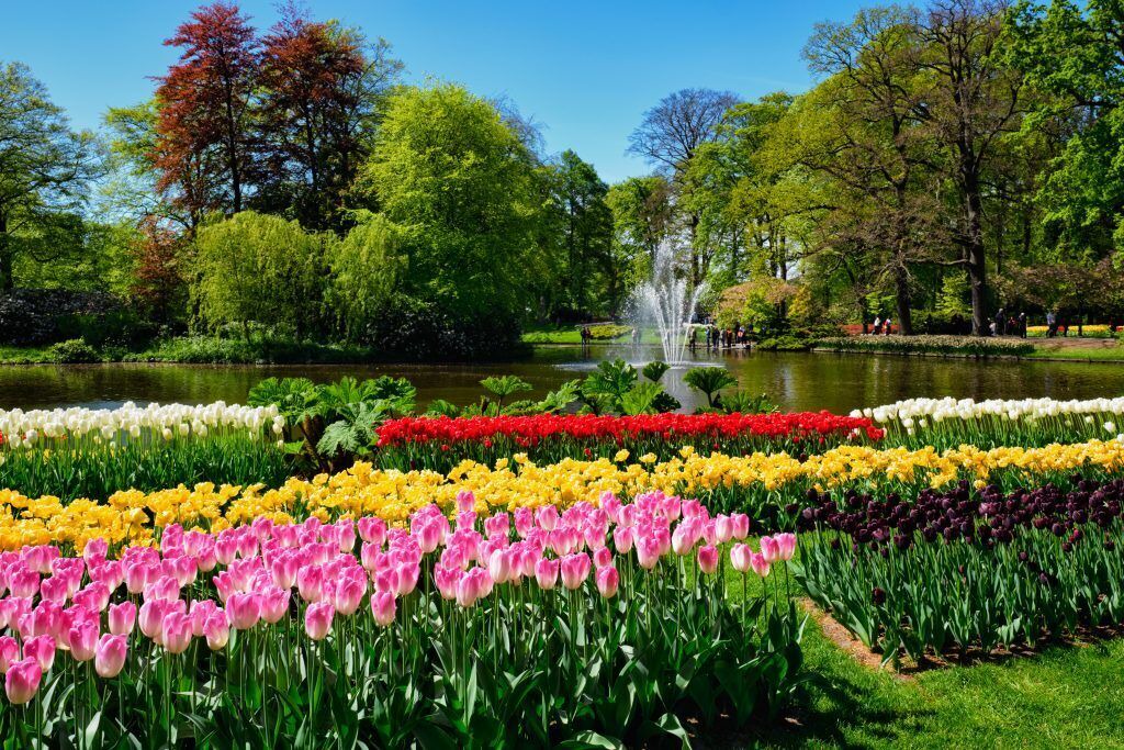 Photo of Outdoor in t Zand