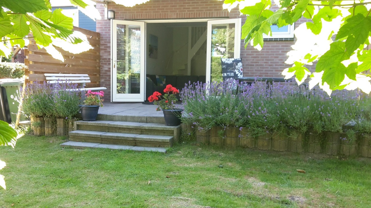 Photo of Outdoor in t Zand
