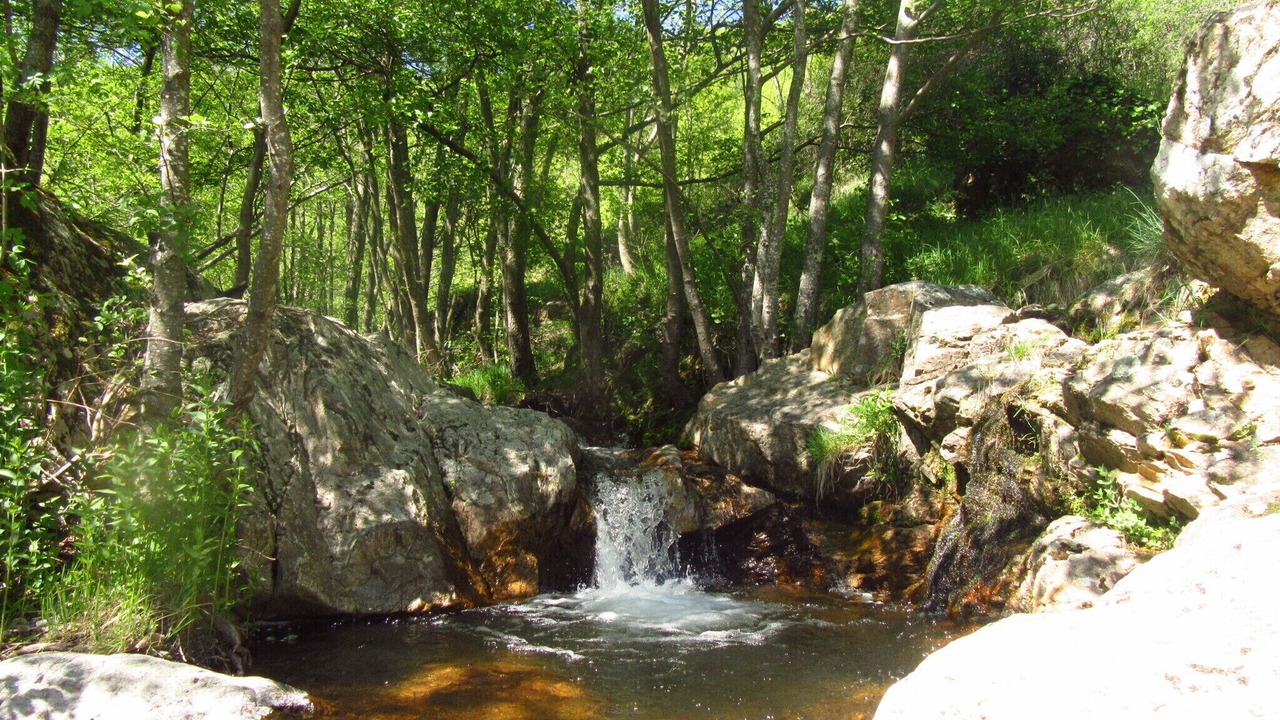Photo of Outdoor in Lentilleres