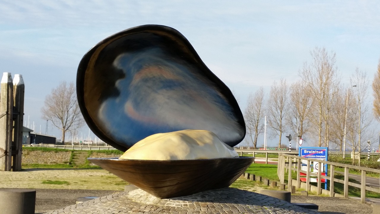 Photo of Outdoor in Bruinisse