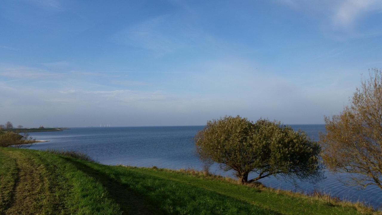 Photo of Outdoor in Bruinisse