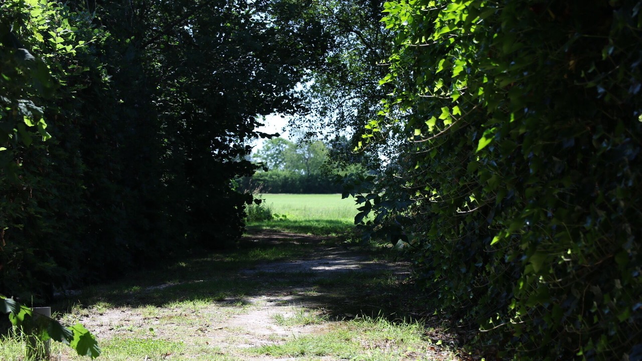 Photo of Outdoor in Linde