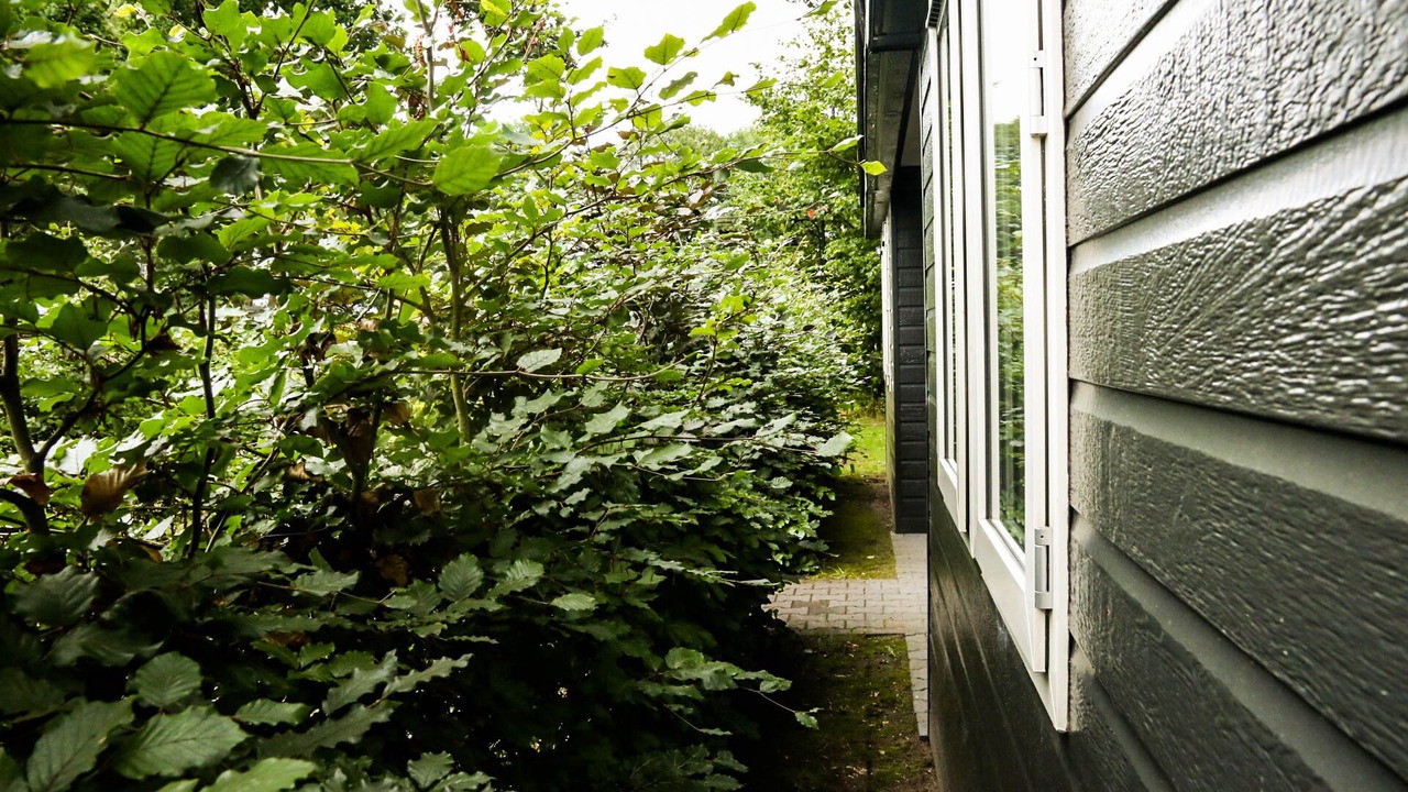 Photo of Outdoor in Linde