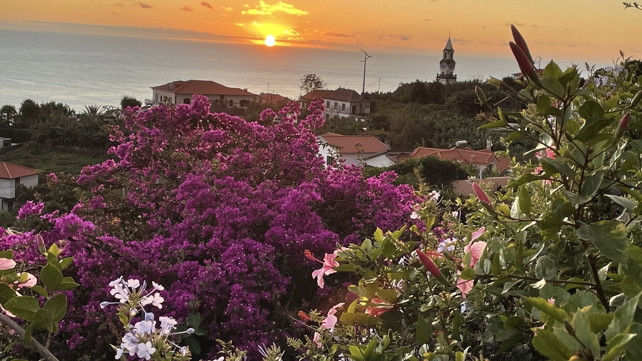 Photo of Outdoor in Arco da Calheta