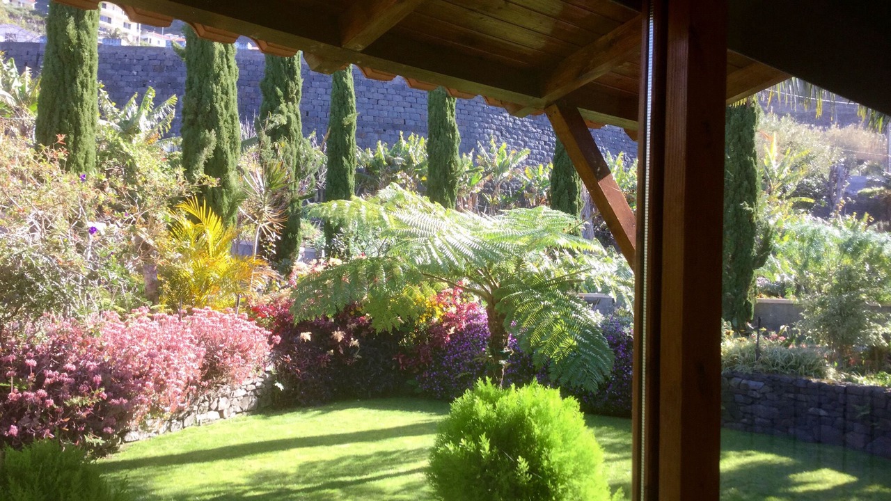 Photo of Outdoor in Arco da Calheta