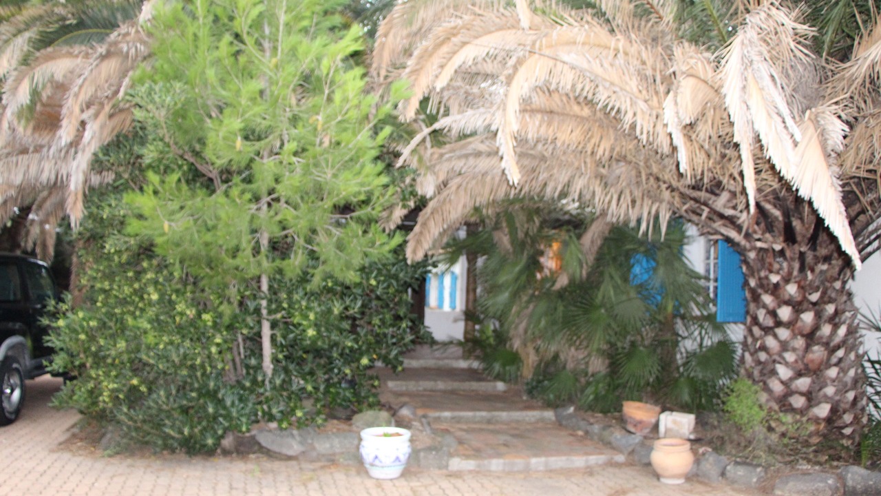 Photo of Outdoor in Le Grau-dʼAgde