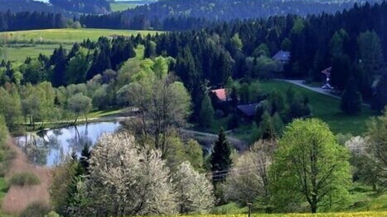 Photo of Outdoor in Hierholz
