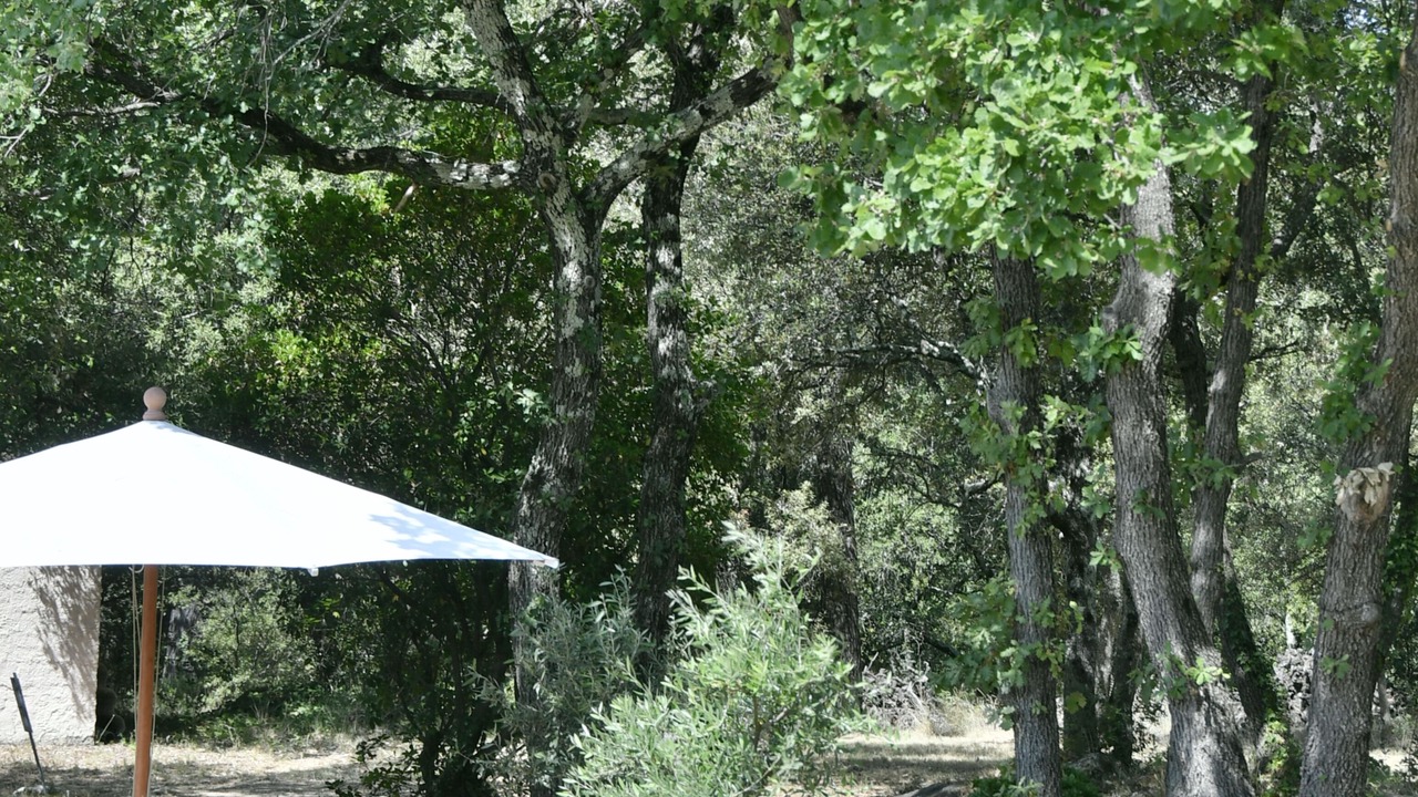 Photo of Outdoor in Lorgues