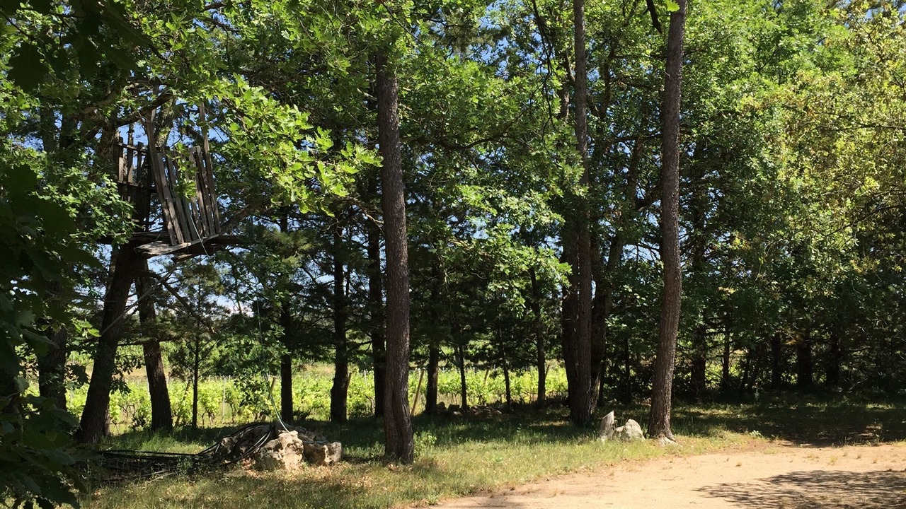 Photo of Outdoor in Lorgues