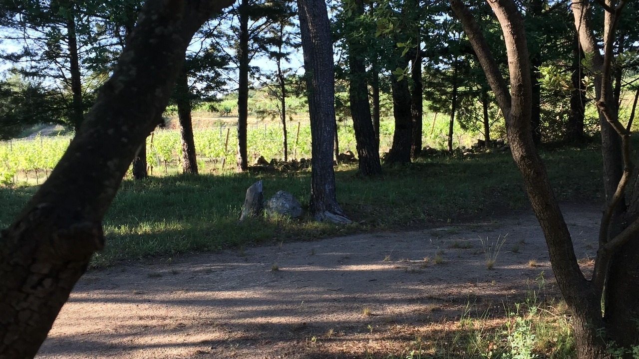Photo of Outdoor in Lorgues