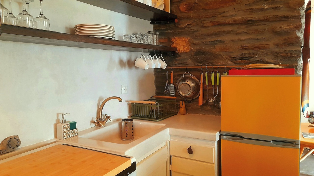 Photo of Kitchen in Andros