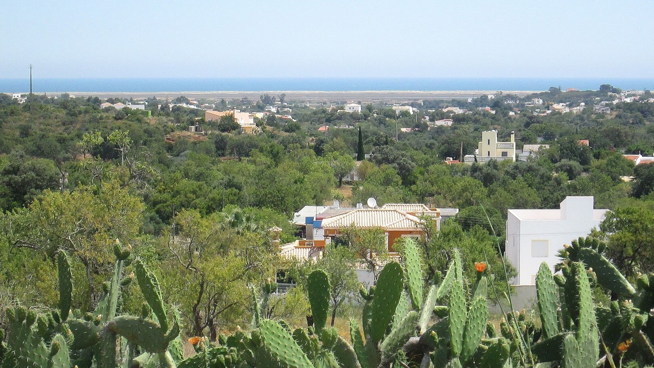 Photo of Others in Olhao